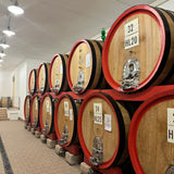 VILLA SPINOSA VALPOLICELLA CLASSICO SUPERIORE RIPASSO JAGO