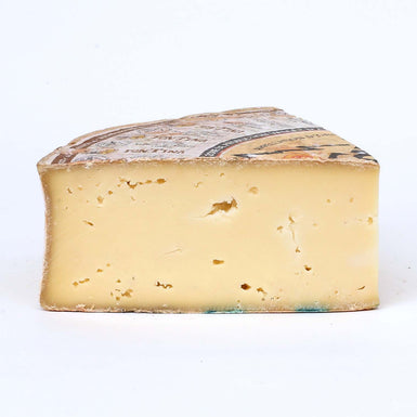 FONTINA