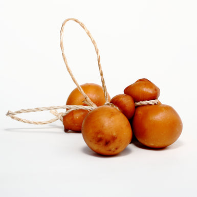 SCAMORZA