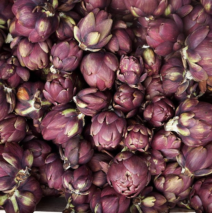 Spring Cooking ARTICHOKES 20 March 2024 La Fromagerie