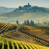 PASSIONE VINO X LA FROMAGERIE 27 November 2026