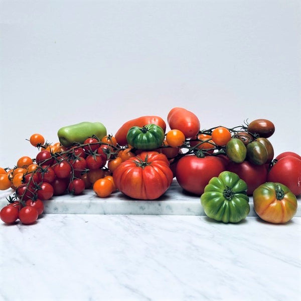 Tomatoes of different varieties 