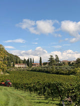 VILLA SPINOSA GUGLIEMI JAGO AMARONE DELLA VALPOLICELLA 2015