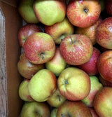Apple Day Autumn Supper 21 October 2026