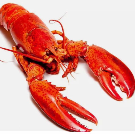 Lobster Thermidor: Friday 1 November 2024