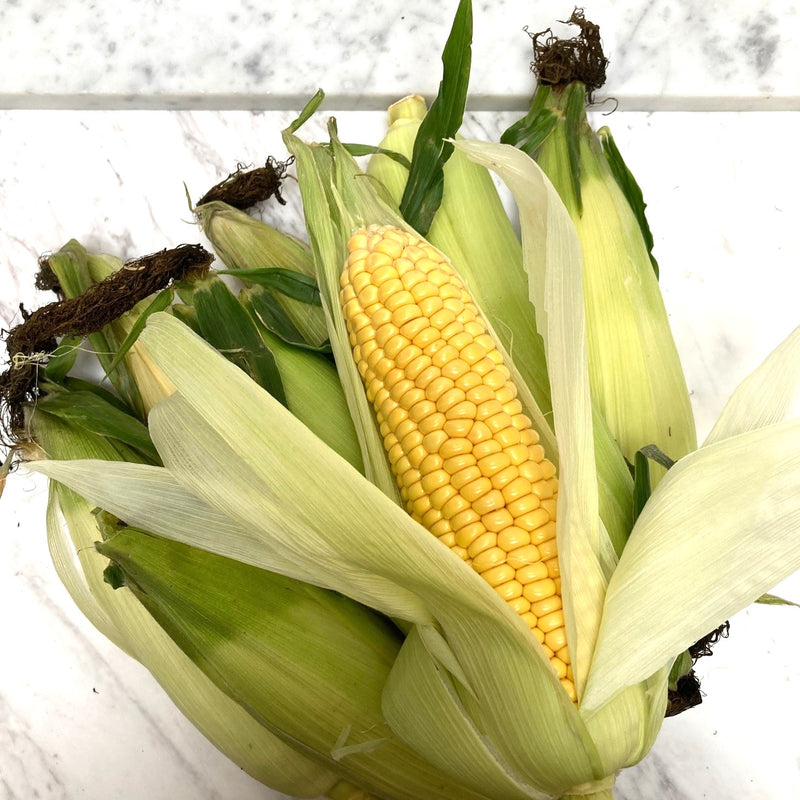 Monday Supper 29 Sept 2025