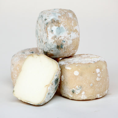 CROTTIN DE CHAVIGNOL