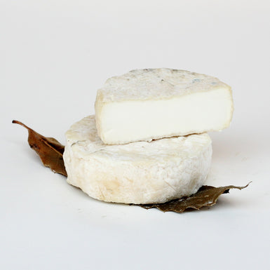 MOTHAIS Á LA FEUILLE