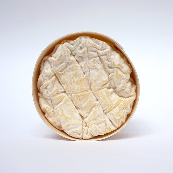 https://lafromagerie.co.uk/cdn/shop/products/St_Jude_updated_web_600x600_crop_center.jpg?v=1650976583